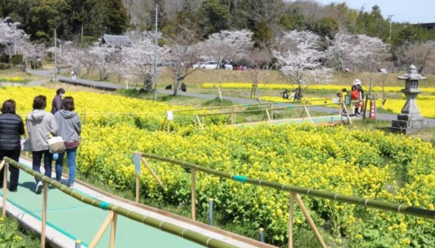 菜の花回廊のスロープ